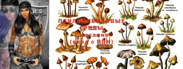 кокс Абаза
