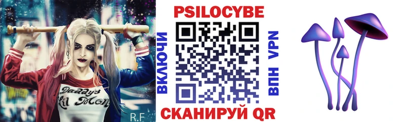 Псилоцибиновые грибы Psilocybine cubensis  Гдов 