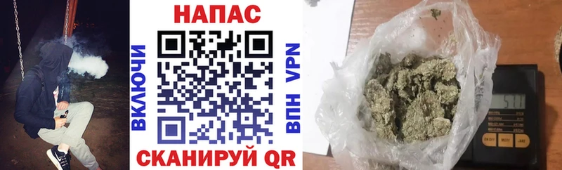 где купить   Гдов  Конопля план 